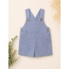 Peto celeste nube