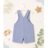 Peto celeste nube
