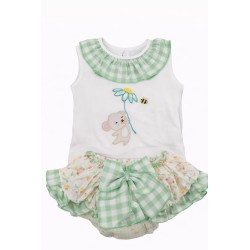 Conjunto koala