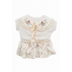 Conjunto perforado arena